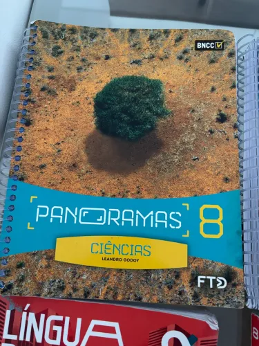 Livros 8 ano