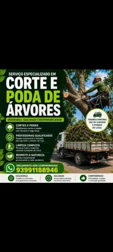 ? Corte e Poda de Árvores | Orçamento Grátis