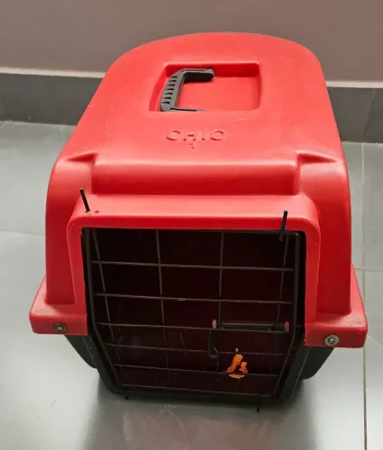 Caixa de transporte para pets