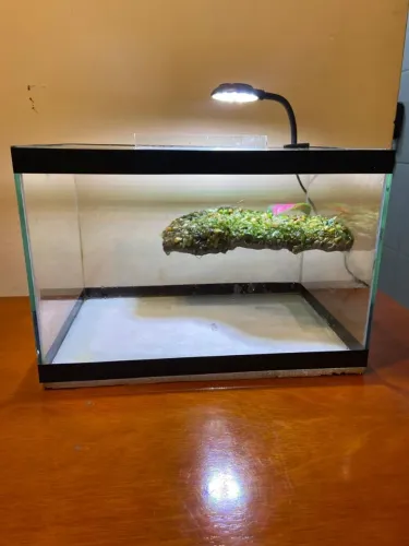 Aquaterrario 