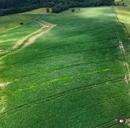 Área Rural em Arapoti