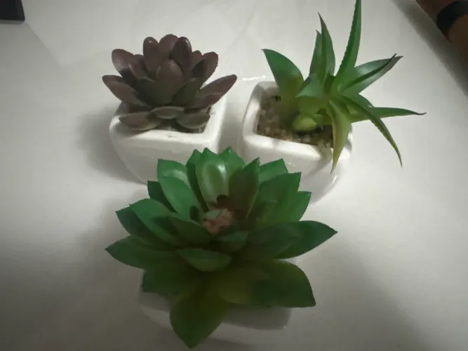 Trio de suculentas artificiais com vaso