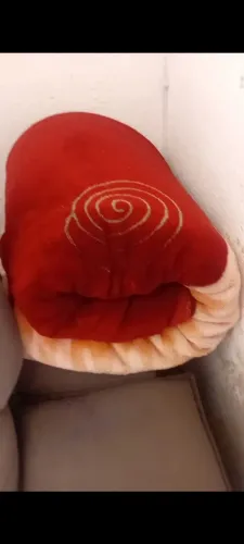 Coberta bem conservado