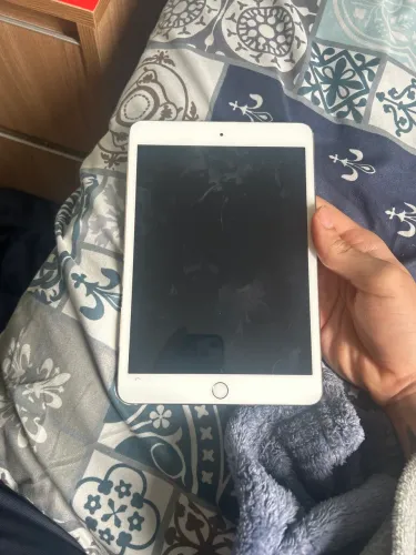 iPad mini 3