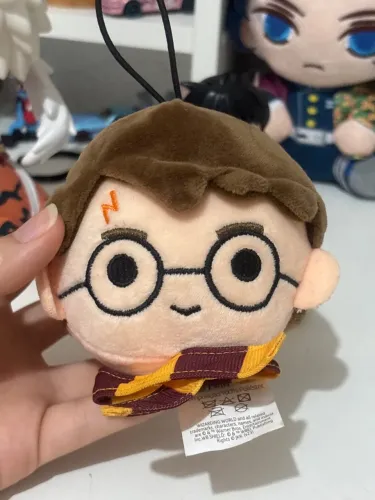 Harry Potter Cacau show
