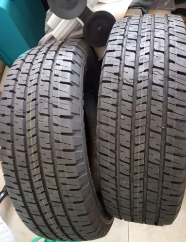 Dois Pneus Goodyear Zeros 215/65/16