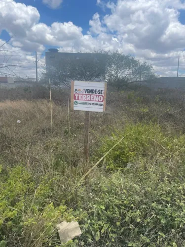 terrenos à venda no loteamento Veredas(03 disponíveis)