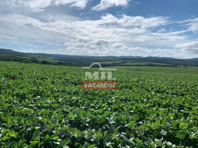 Fazenda em Pires do Rio - GO. . 112 Alq. (em Lavoura)