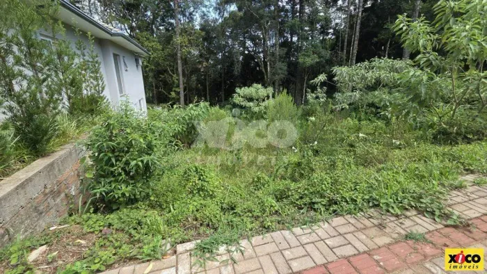 TERRENO PARA VENDA EM NOVA PETRÓPOLIS / RS NO BAIRRO LINHA IMPERIAL