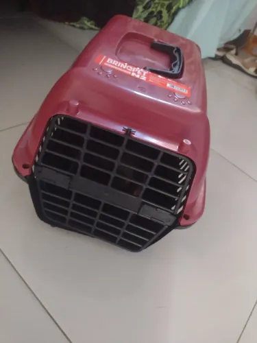 Caixa transporte pet