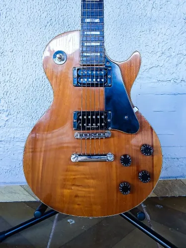 Les paul finch 1970