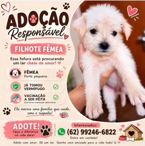 Doação Femia em Anápolis