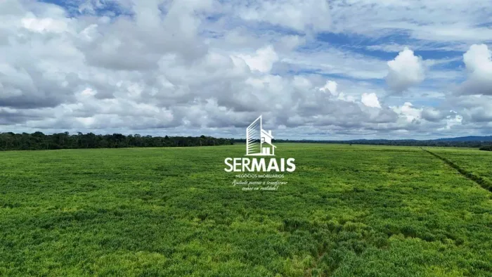 Fazenda à venda, 14520000 m² por R$ 60.000.000 - Zona Rural - Cacoal/RO