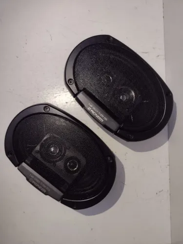 Pioneer Golfinho