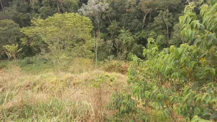 Domingos Martins, Melgacinho, 3 hectares ,Oportunidade!