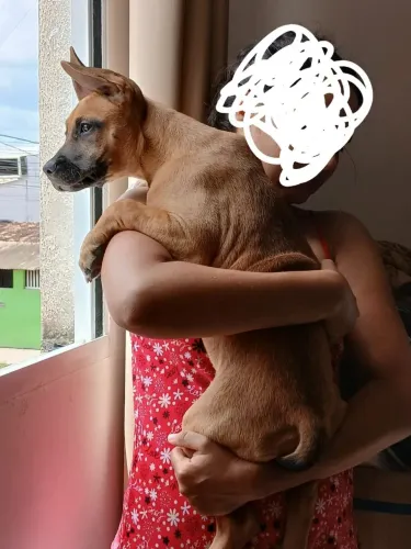 Pit monster