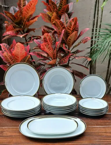 Aparelho de jantar Schmidt 20 peças! Sem uso !