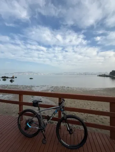 OGGI Big Wheel 7.0