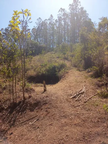 Excelente terreno de granja em Humaitá/JF