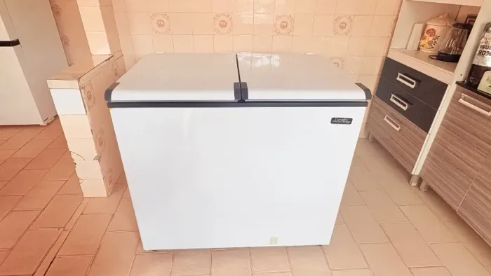 Freezer Horizontal 303L