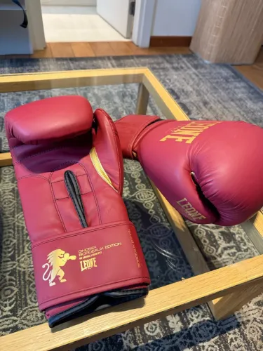 Luva de boxe + bota de boxe