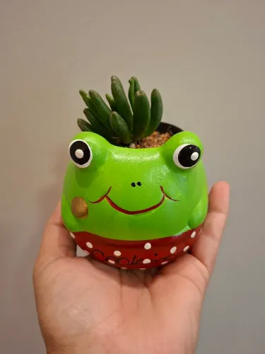 Vaso Sapinho em cerâmica 