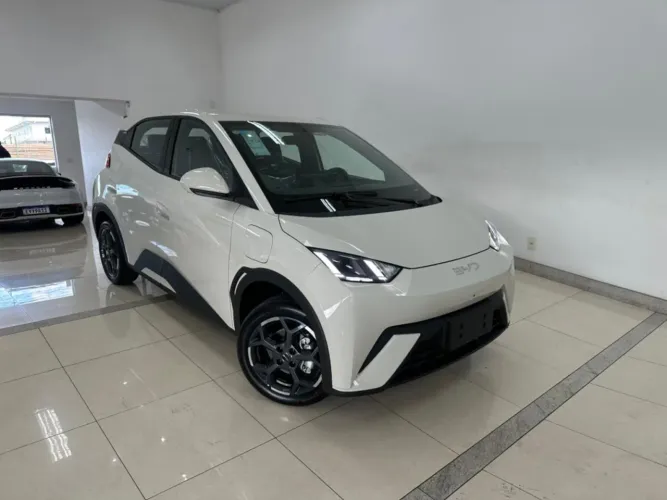 BYD Dolphin Mini (Elétrico) 2027