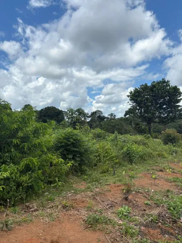Terreno no ramal dos cocós