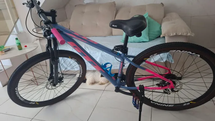 Bicicleta GTI. Aro 29