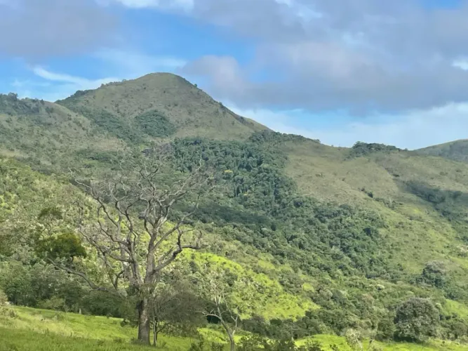 82043 - Rurais/Fazenda - Misto - No bairro Zona Rural