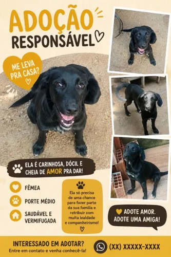 Adoção responsável