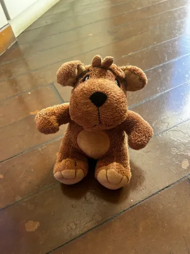 Urso de Pelúcia