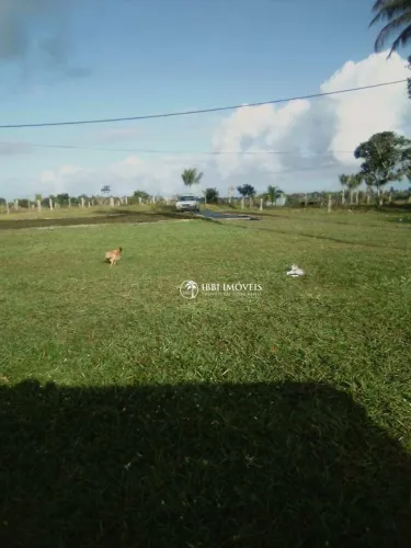 Fazenda sul da Bahia 100 he para pasto