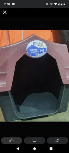 Casa para pet
