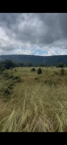 Venda de área rural