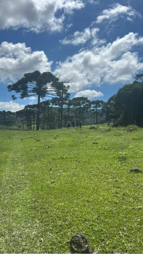 Vendo Chácara em Rancho Queimado direto com proprietário