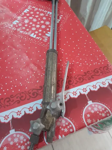 Massarico de Corte