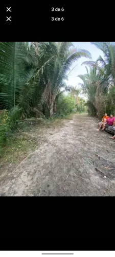 Vende-se 2 terreno 10 por 40 valor de cada terreno 10 mil povoado morada nova