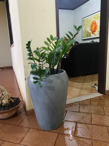 Vaso sofisticado, lindo demais !