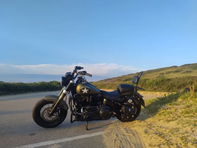  Harley Davidson Softail Slim 2018