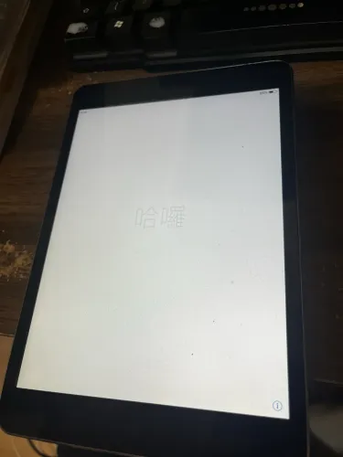 iPad Apple