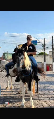 Cavalo de Picado 