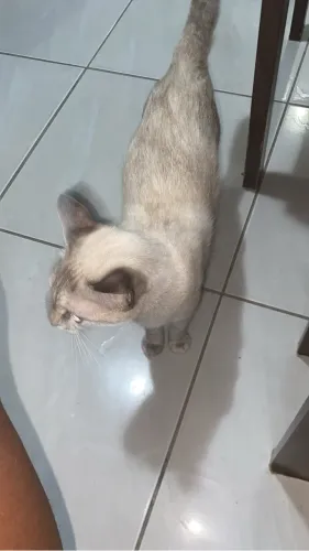 doacão