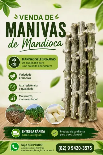 Manivas de macaxeira de mesa
