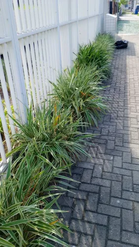 Jardineiro