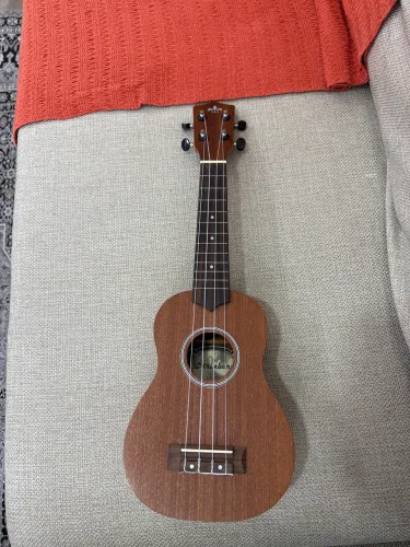 Ukulele Strinberg