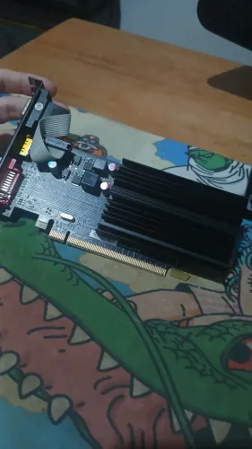 AMD Radeon HD5450 1gb