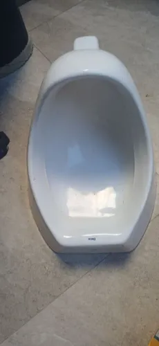 Miquitorio masculino