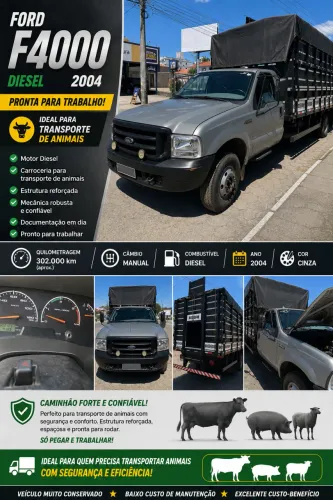 Ford F-4000 2.8 Turbo Intercooler Diesel 2P Manual 2004