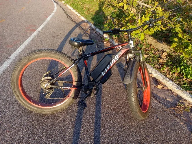 Bicicleta active living elétrica